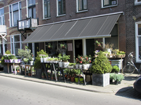 905843 Afbeelding van de uitstalling van planten voor Bloemenmagazijn Johan (Koekoekstraat 59) te Utrecht.
